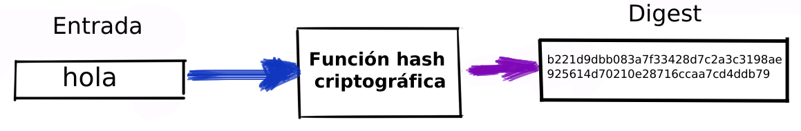 imagen1-funcion-hash-criptografica-ciberseguridad-Behackerpro