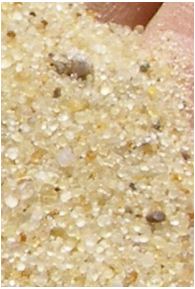 sand grain.JPG