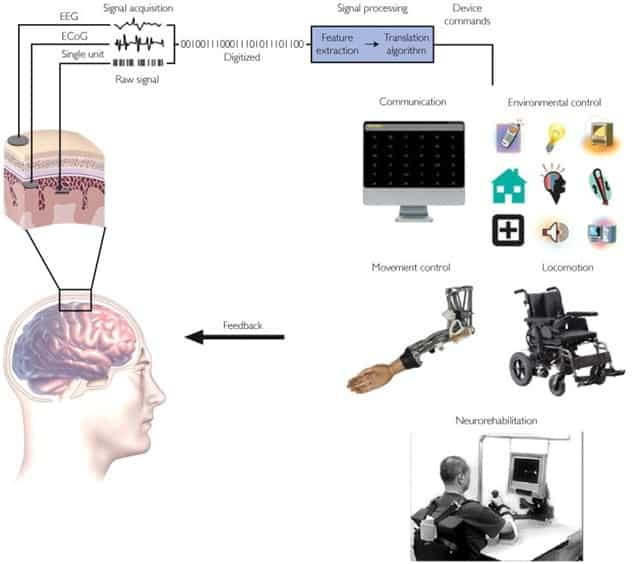 Components of Brain Computer Interface (BCI) System