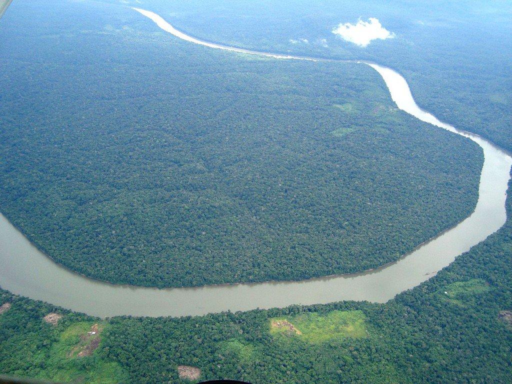 Amazon Rainforest, South America