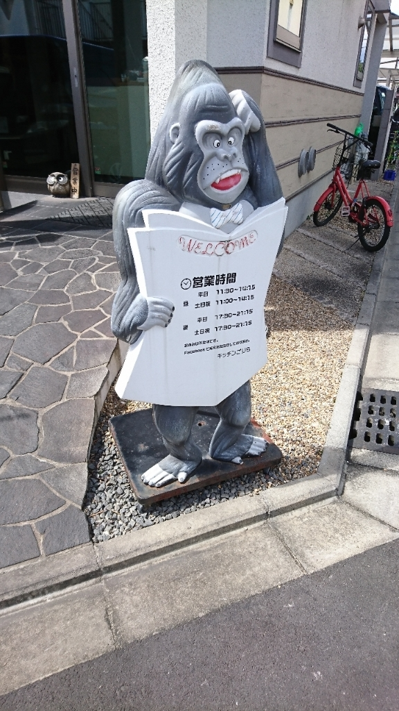京大生を愛し愛されるゴリラたち キッチンごりら Campfire キャンプファイヤー