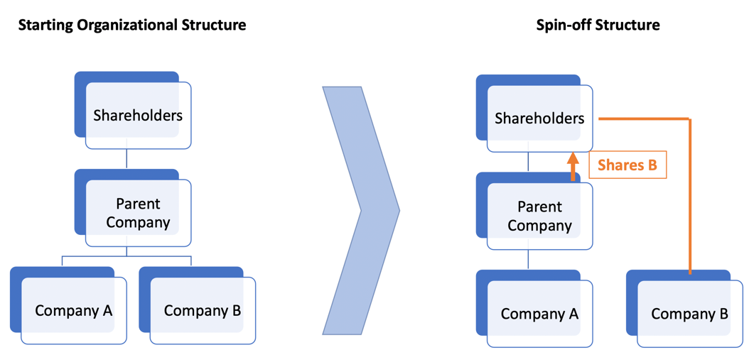 schema in inglese della starting organizational structure e della spin-off structure