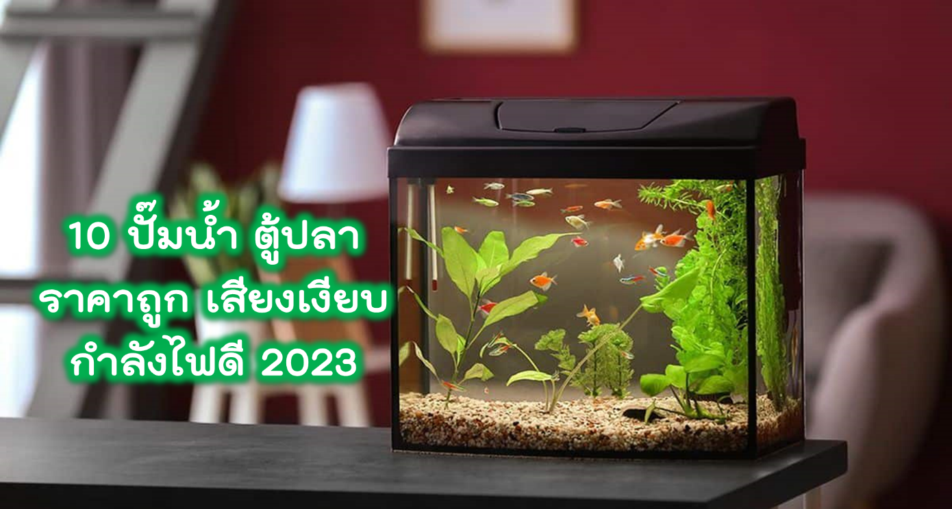 10 ปั๊มน้ำ ตู้ปลา ราคาถูก เสียงเงียบ กำลังไฟดี 2023 1