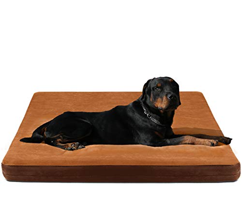 Cama para perros JoicyCo Cama grande Camas de espuma para perros