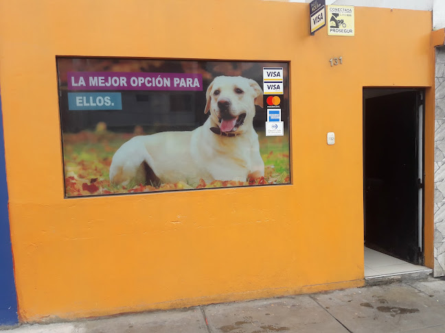 Dejando Huellas - Callao