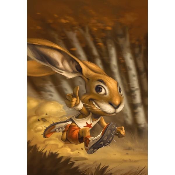 http://cdn1.philibertnet.com/246343-thickbox/le-lievre-et-la-tortue.jpg