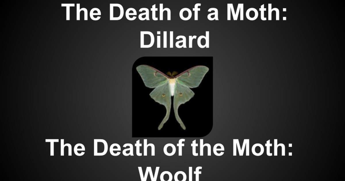 virginia woolf the death of the moth rhetorical analysis