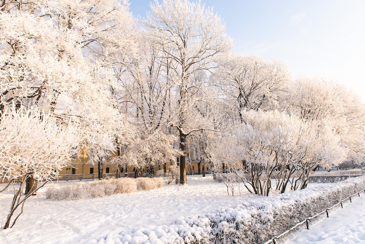 Beautiful winter landscape in the city. Snowy winter in the city. Russian winter. Park