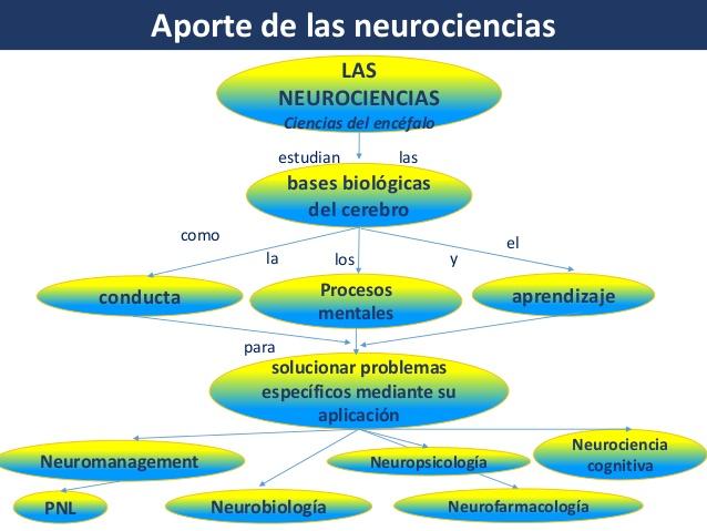 Resultado de imagen para - Neurociencia: una ciencia para el aprendizaje