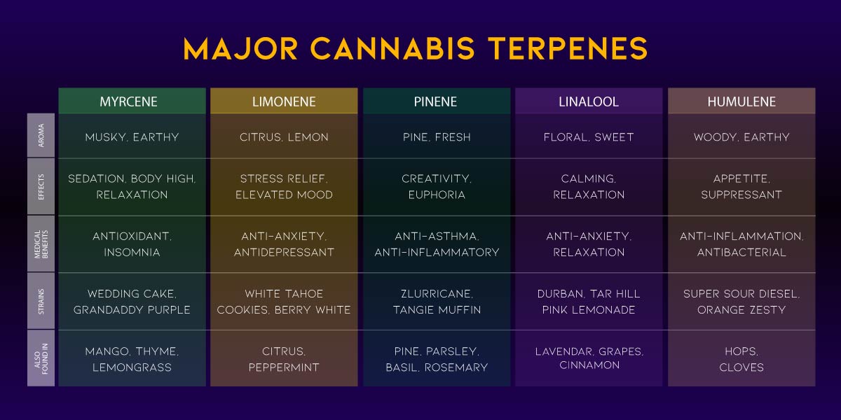 cannabis terpenes