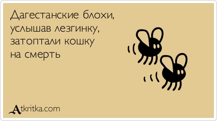  (юмор)