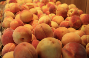 A pile of peaches.
