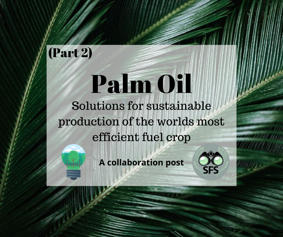 Palm Oil II: Consumer Choice – Search for Science