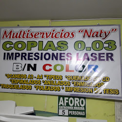 Multiservicios "Naty"
