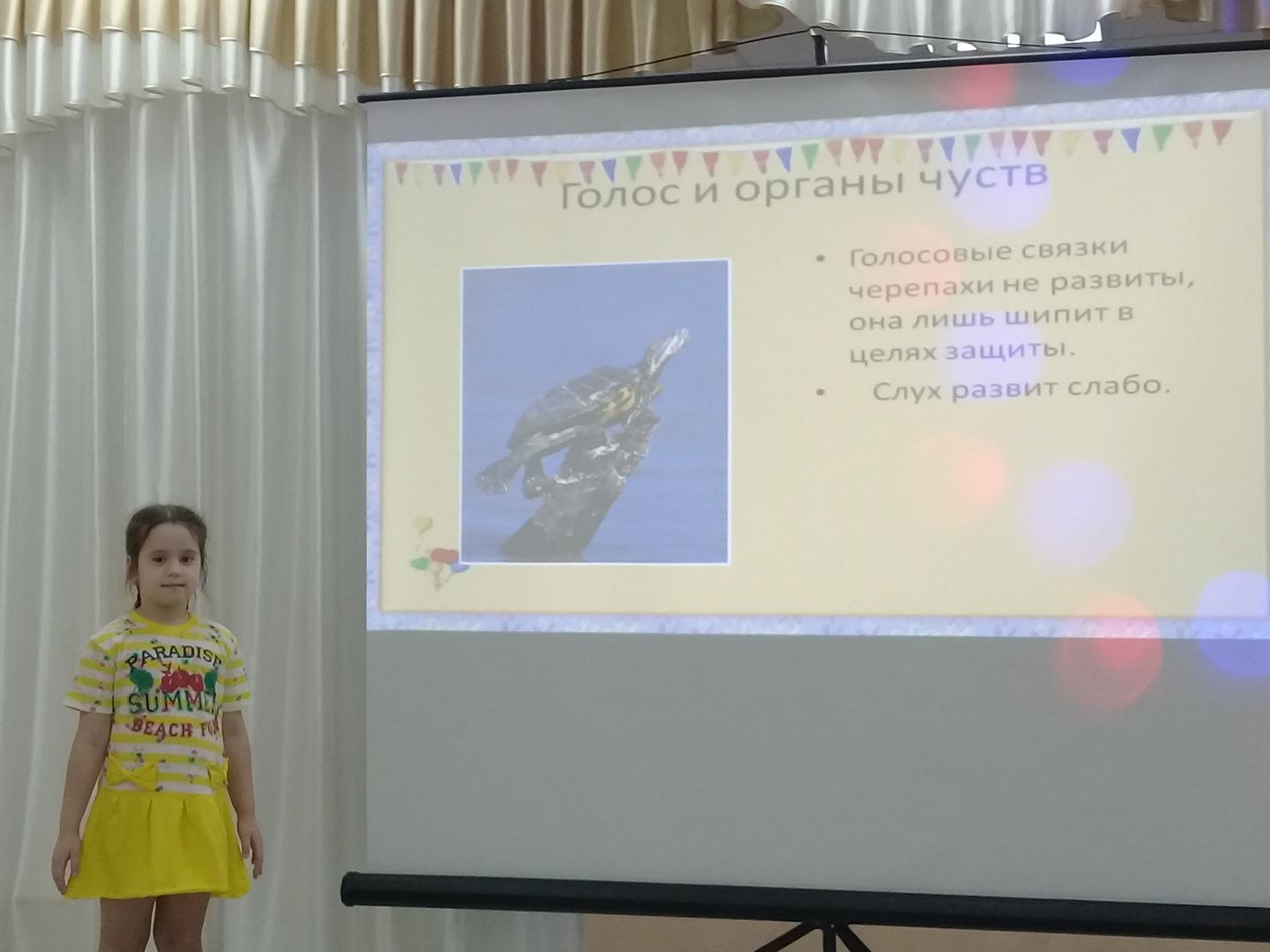 Детские презентации Животные морей и океанов