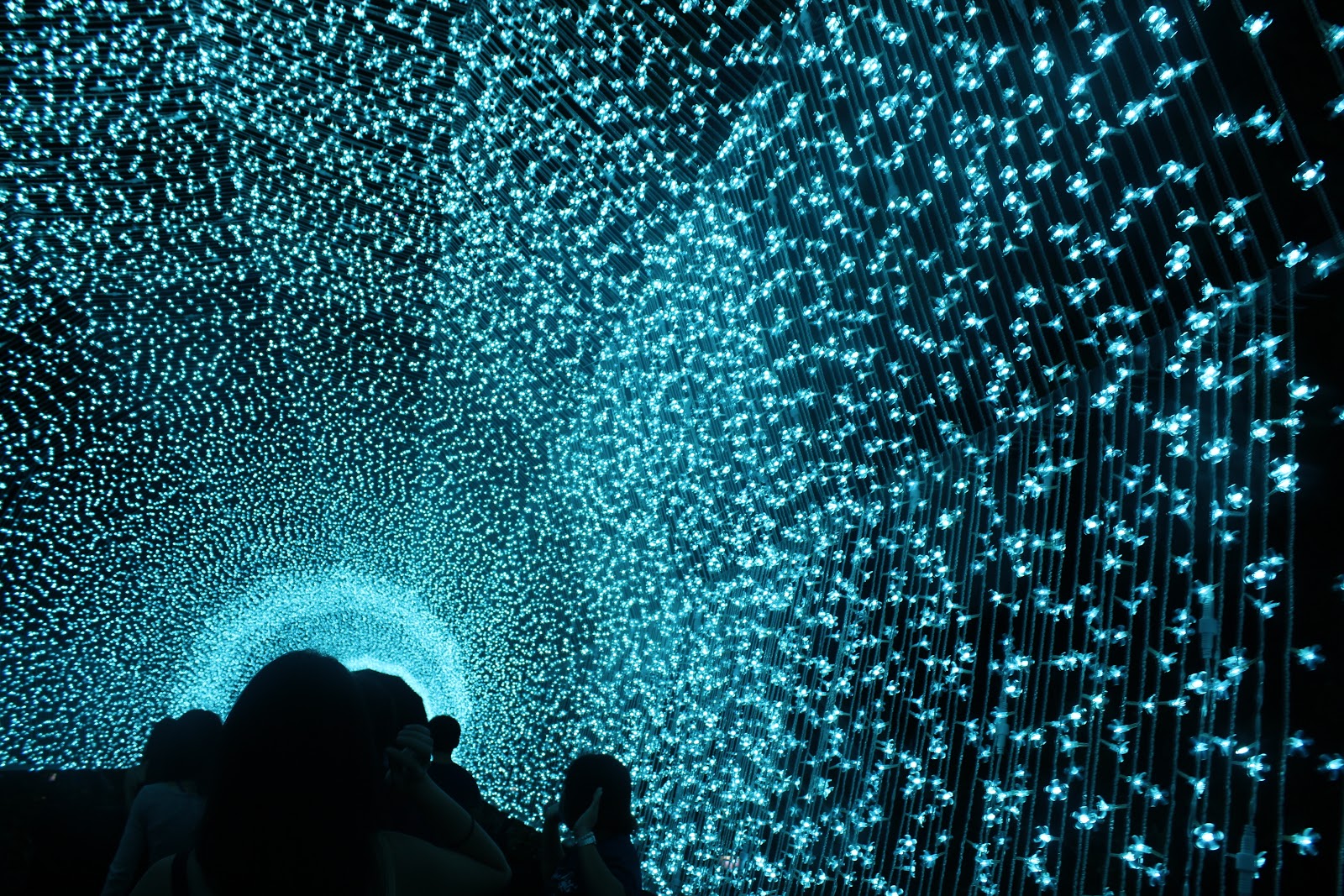 Path of Tranquility 