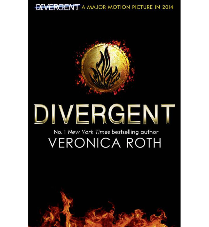 The Divergent Series