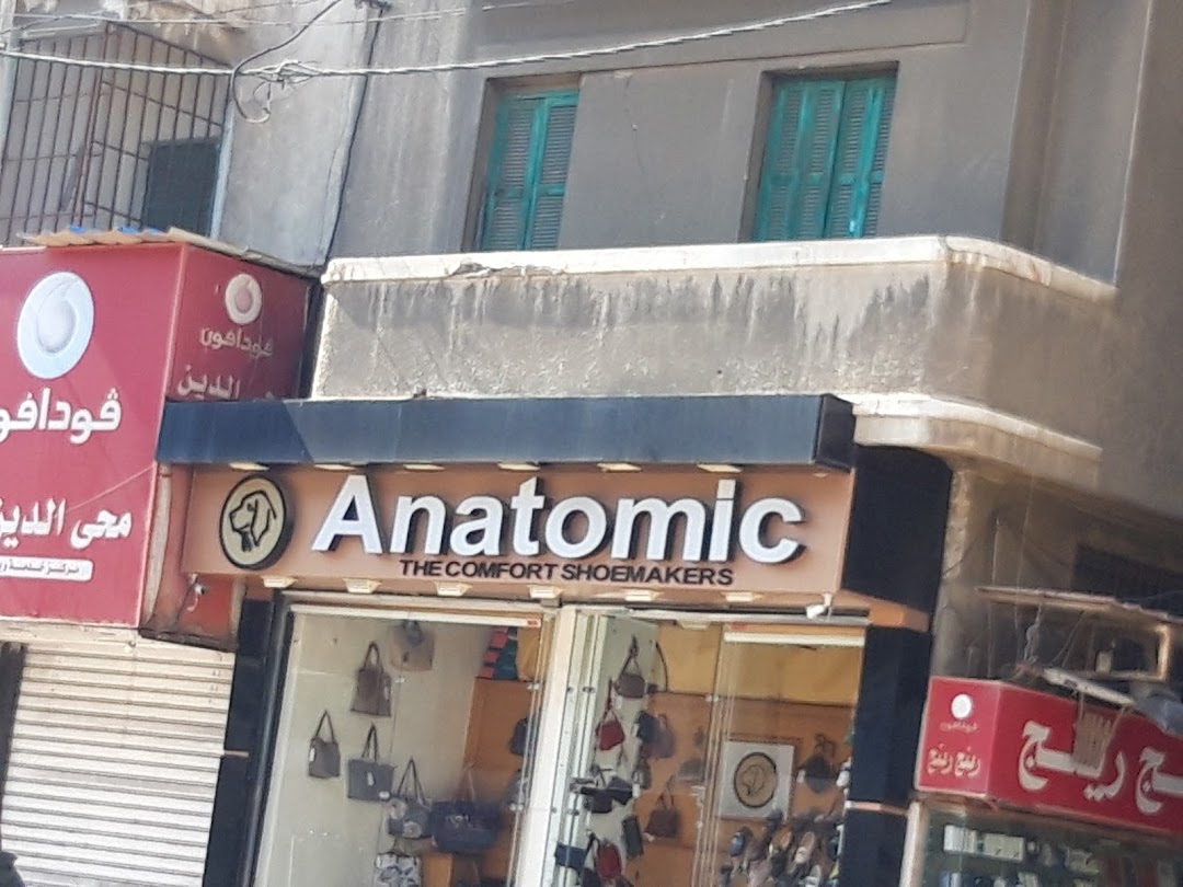 Anatomic