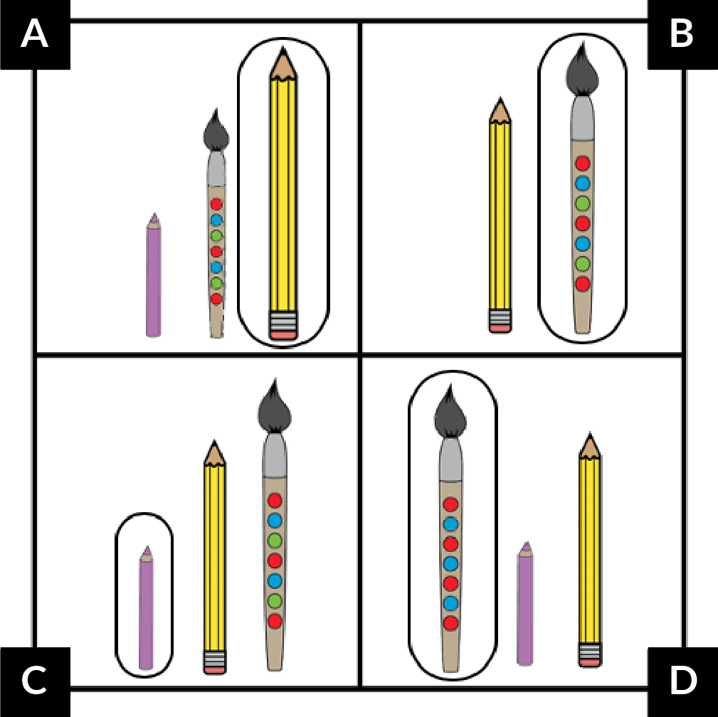 A. shows a short colored pencil, a medium paintbrush, and a tall pencil. Dots on the paintbrush handle go red blue green, red blue green. The pencil has a circle around it. B. shows a medium pencil, and a tall paintbrush. The paintbrush has a circle around it. Dots on the paintbrush handle go red blue green, red blue green. C. shows a short colored pencil, a medium pencil, and a tall paintbrush. The colored pencil has a circle around it. Dots on the paintbrush handle go red blue green, red blue green. D. shows a tall paintbrush, a short colored pencil, and a medium pencil. The paintbrush has a circle around it. Dots on the paintbrush handle go red blue, red blue, red blue, red.