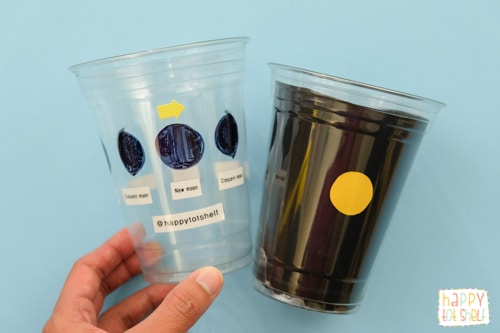 How To Create a Lunar Cycle in a Cup Learning Experiment