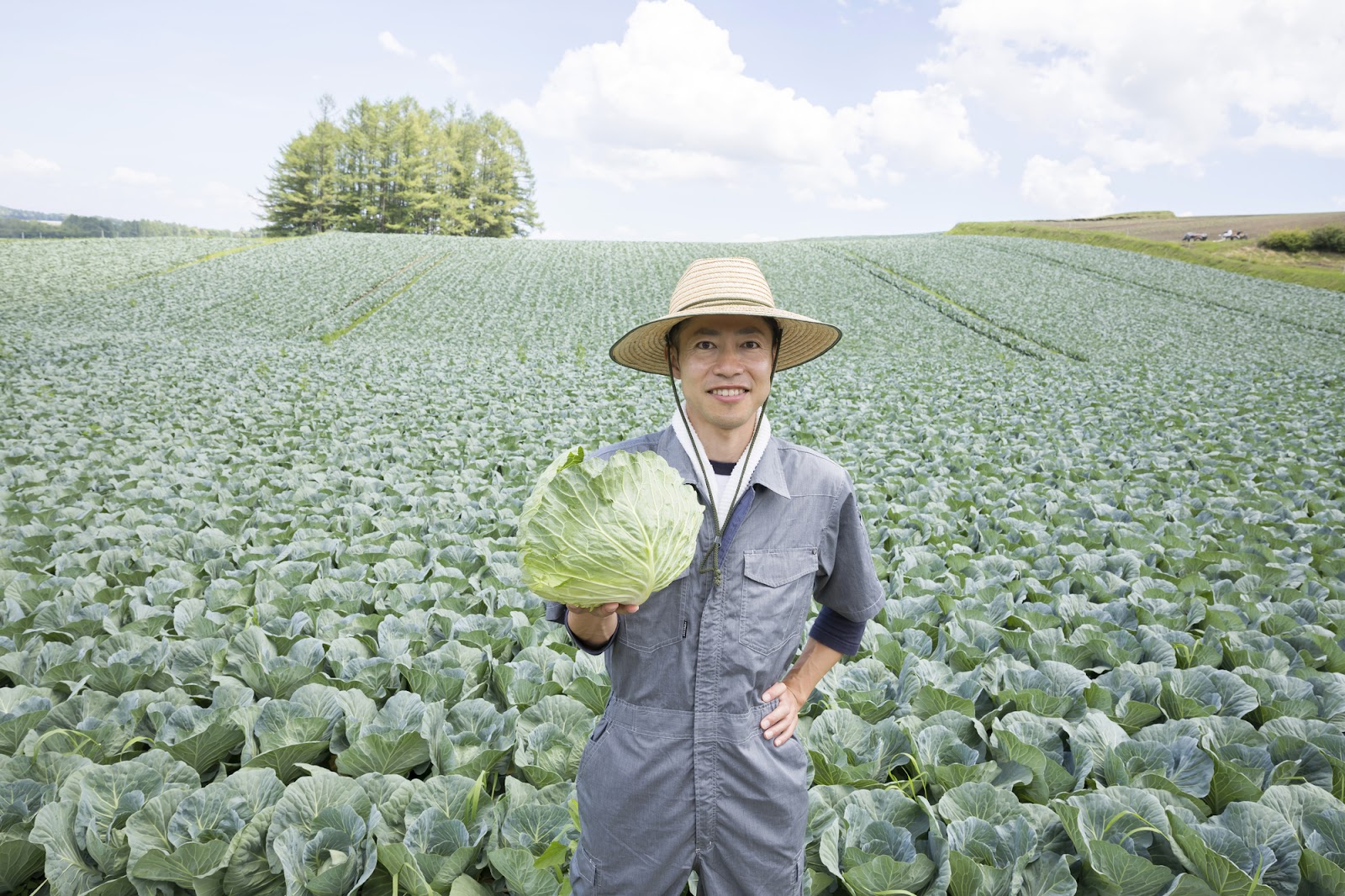 野菜をEC販売するときのメリット