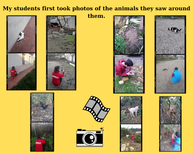 C:\Users\Packard Bell\Desktop\LIFE FROM MY PERSPECTIVE (1)\çevremizdeki canlılar\Our students first took pictures of the animals they saw around them  1.png