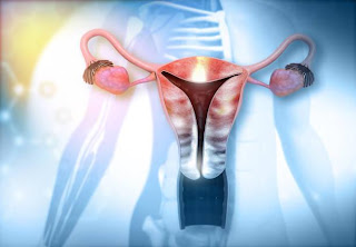 العدوى المهبلية(vaginal infection) | أشهر 5 اسباب لها وطرق علاجها وتشخيصها