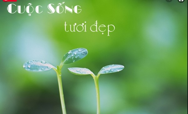 cuộc sống tươi đẹp