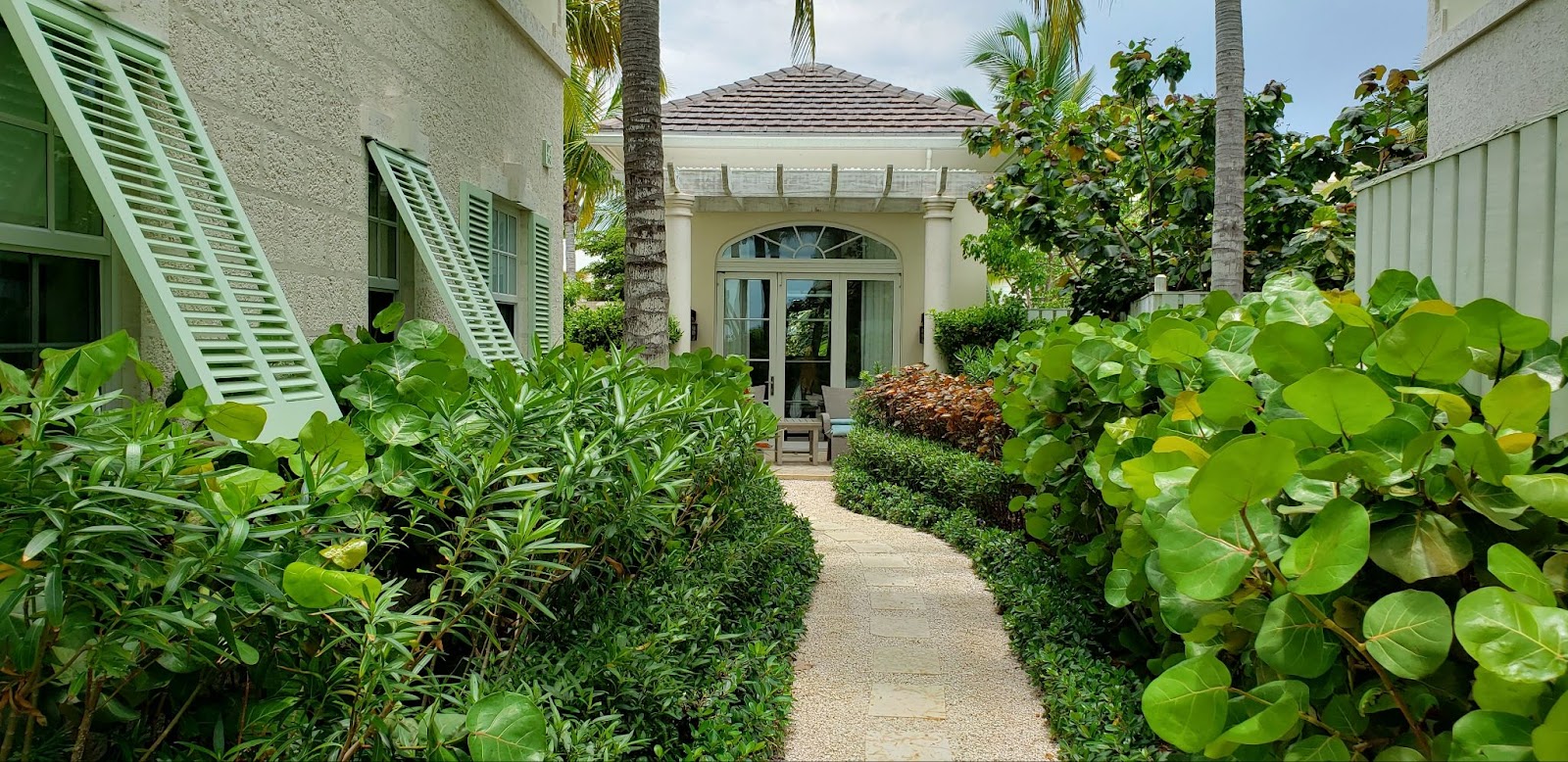 a walkway surrounded by tropical greenery at The Shore Club Turks and Caicos