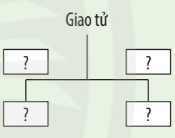 Giải KHTN 7 Bài 37: Sinh sản ở sinh vật Chân trời sáng tạo