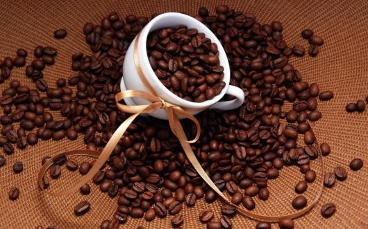 Tìm nguồn cung cấp arabica giá sỉ cho quán chất lượng