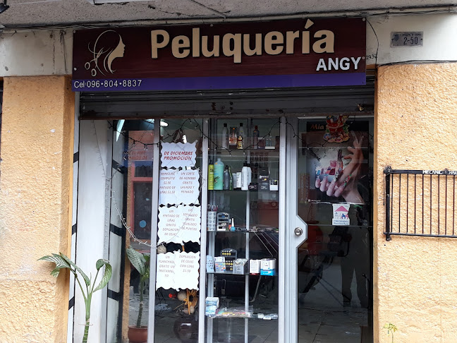 Opiniones de Peluquería Angy en Cuenca - Peluquería