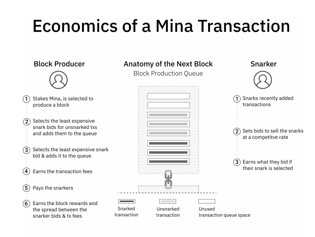 What Is Mina Protocol Asia Crypto Today