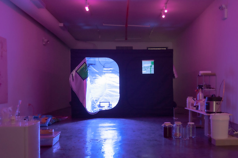 Grow Tent from Recess Session Artist Tiffany Jaeyeon Shin's "Microbial Speculation of Our Gut Feelings"