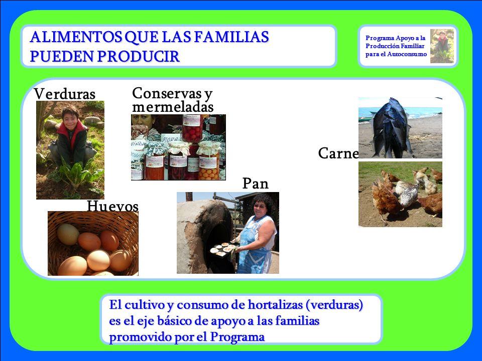 Programa Apoyo a la Producción Familiar para el Autoconsumo - ppt video  online descargar