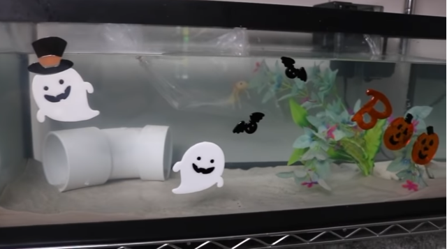 Fish aquarium with Halloween window clings