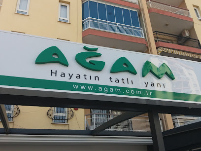 Arga Yazılım ve İnternet Hizmetleri İzmir Ofisi