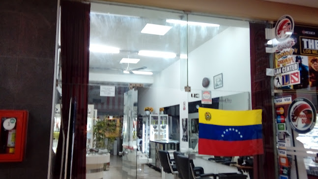 Centro Comercial Arenales, Av. Gral. Antonio Alvarez de Arenales 1737, Lince 15046, Perú