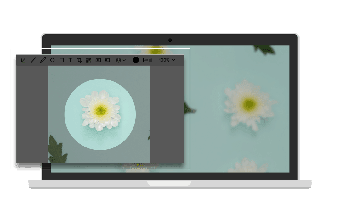 edit image of a white flower