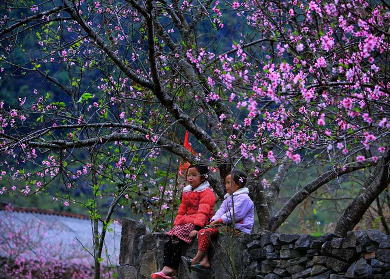 tour-du-lich-ha-giang