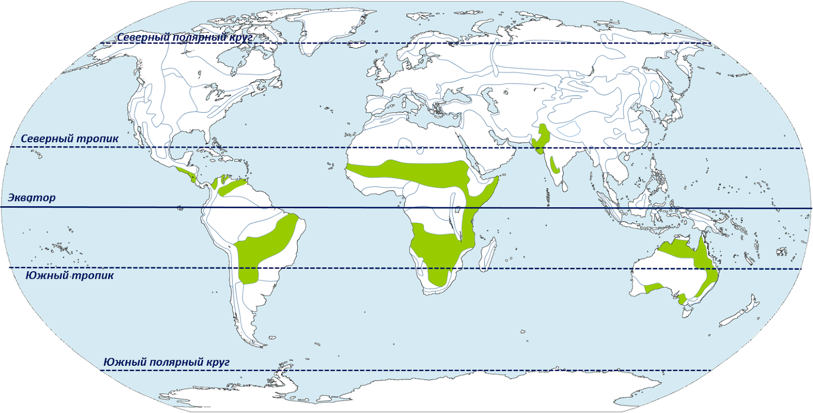 Мир влажности. Природная зона Саванна на карте. Географическое положение саванны.