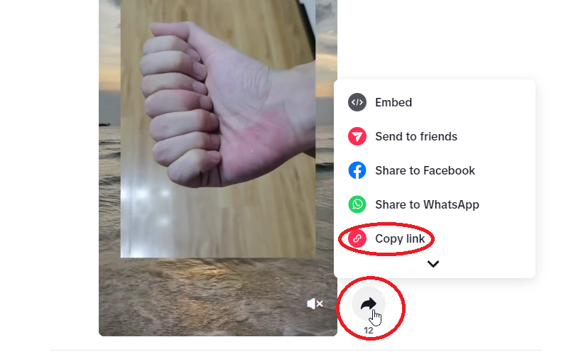 downloading TikTok videos