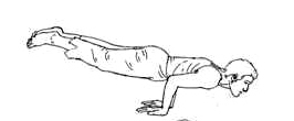 mayurasana