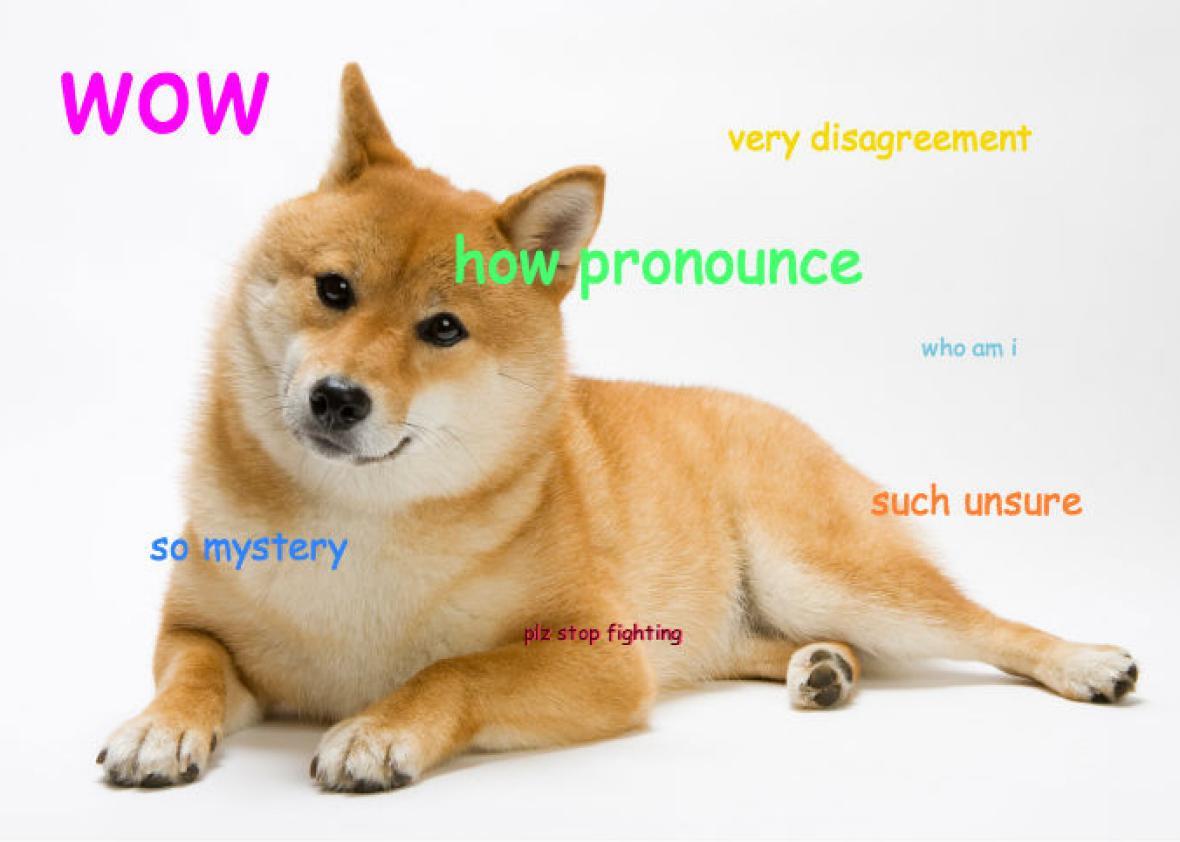 Image result for shiba inu meme