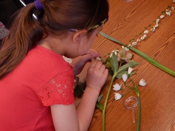 studying flowers 