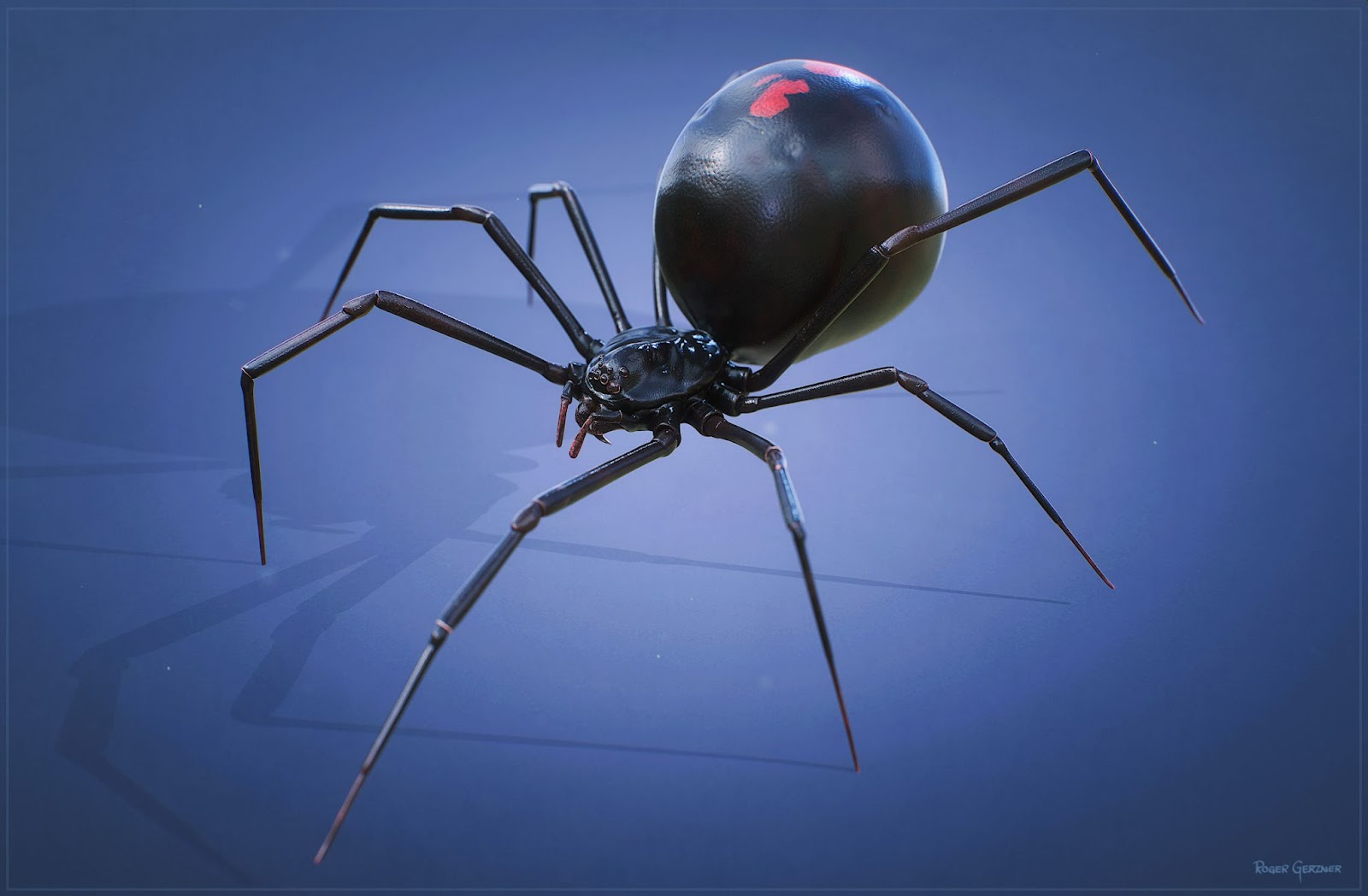 A 3D spider created by Roger Gerzner.