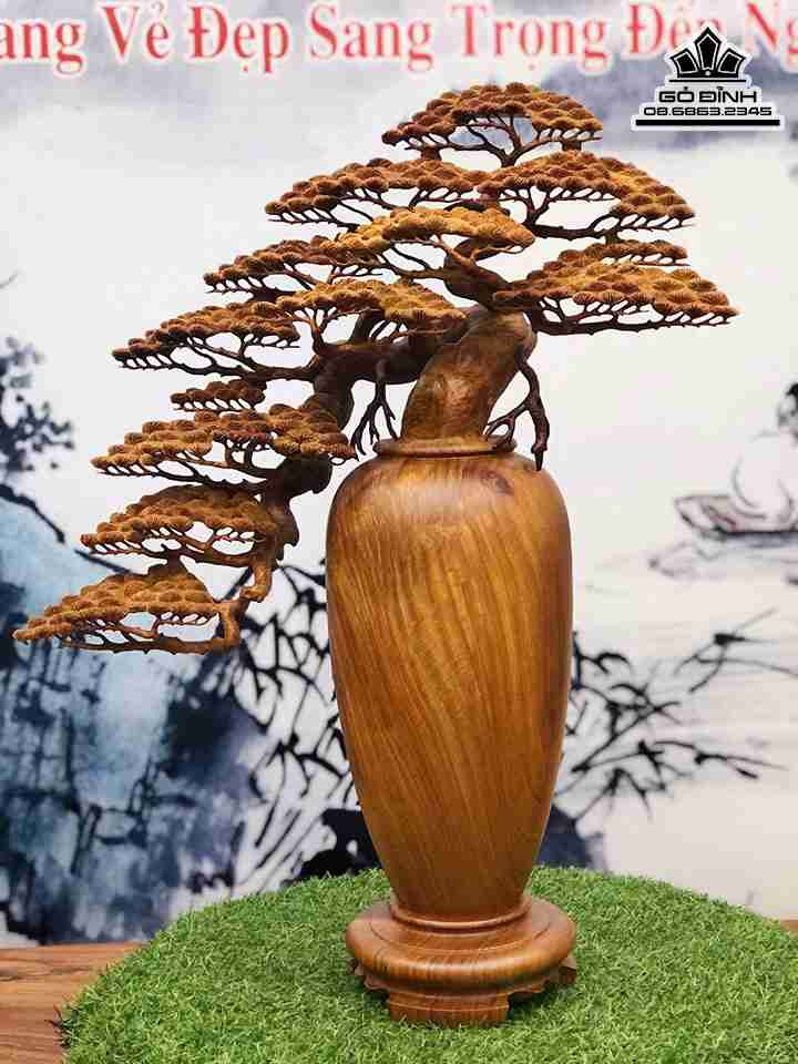 Bình Bonsai gỗ Chun Hương