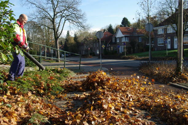 Walk-Behind Leaf Blowers