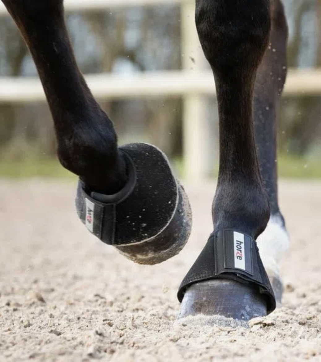 Dark bay horse wears Horze all purpose bell boots to prevent injury