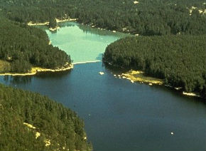 Lake 226 - Phosphorus added to one side of the lake fueled cyanobacteria growth